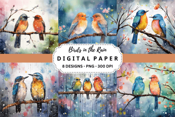 Download Birds in the Rain Background - Rain background Collection
