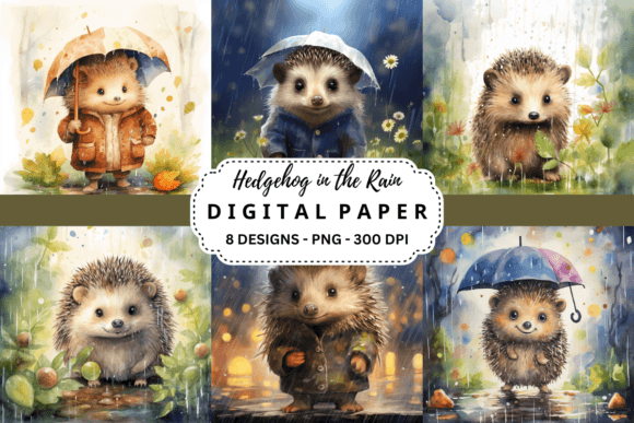 Download Hedgehog in the Rain Background - Premium Resources